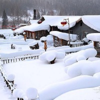 那年冬天的雪