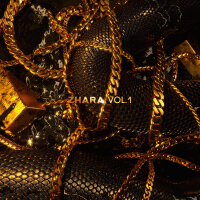 ZHARA Vol.1 (Explicit)專輯_JonyZHARA Vol.1 (Explicit)最新專輯