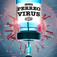 Perreo Virus