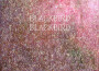 Summer Heart專輯_Blackbird BlackbirdSummer Heart最新專輯