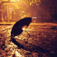 雨夜.圖片照片_雨夜.