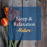 Sleep & Relaxation　-Nature-