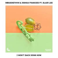 I Won't Back Down Now (feat. Blair Lee)專輯_RØGUENETHVNI Won't Back Down Now (feat. Blair Lee)最新專輯