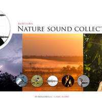 Nature Sound Collection最新專輯_新專輯大全_專輯列表
