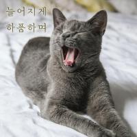 늘어지게 하품하며 Yawning droopy