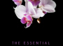 The Essential Deborah Coleman專輯_Deborah ColemanThe Essential Deborah Coleman最新專輯