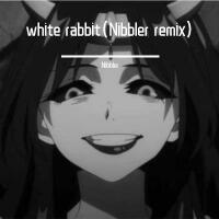 Nibbler歌曲歌詞大全_Nibbler最新歌曲歌詞