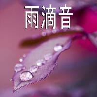 雨滴音