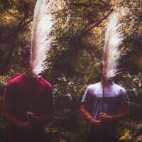 slenderbodies