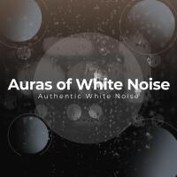 Auras of White Noise專輯_Authentic White NoisAuras of White Noise最新專輯