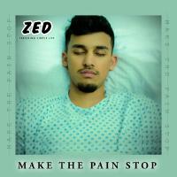 Make The Pain Stop專輯_zedMake The Pain Stop最新專輯
