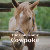 The Lonesome Cowpoke專輯_Doug WildeThe Lonesome Cowpoke最新專輯