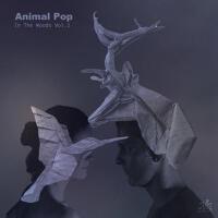 Animal Pop歌曲歌詞大全_Animal Pop最新歌曲歌詞