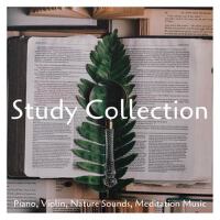 Study Collection: Piano, Violin, Nature Sounds, Me
