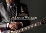 Joe Louis Walker歌曲歌詞大全_Joe Louis Walker最新歌曲歌詞