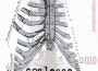 Functioning on Impatience專輯_CoalesceFunctioning on Impatience最新專輯