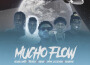 Mucho Flow (Remix)專輯_Negro SantoMucho Flow (Remix)最新專輯