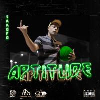 Aptitude (Explicit)