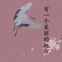 白彥寧歌曲歌詞大全_白彥寧最新歌曲歌詞