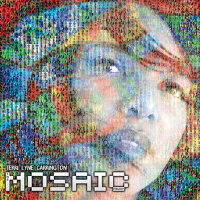 The Mosaic Project