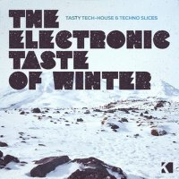 The Electronic Taste of Winter專輯_DBNThe Electronic Taste of Winter最新專輯