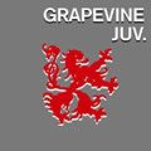 ジュブナイル專輯_GRAPEVINEジュブナイル最新專輯