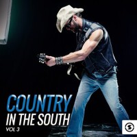 Country in the South, Vol. 3