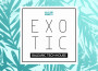 Exotic - Balearic Tech-House專輯_Steve LawlerExotic - Balearic Tech-House最新專輯