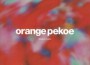 Orange Pekoe歌曲歌詞大全_Orange Pekoe最新歌曲歌詞