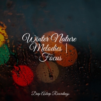 Winter Nature Melodies   Focus