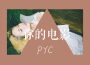 PYC歌曲歌詞大全_PYC最新歌曲歌詞