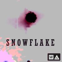 SnowFlake