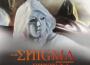 The Enigma V (Masterminds)專輯_ShinnobuThe Enigma V (Masterminds)最新專輯