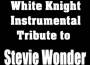 White Knight Instrumental歌曲歌詞大全_White Knight Instrumental最新歌曲歌詞