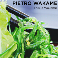 Pietro Wakame歌曲歌詞大全_Pietro Wakame最新歌曲歌詞