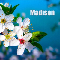 Madison