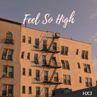 Feel So High