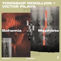 Township Rebellion個人資料介紹_個人檔案(生日/星座/歌曲/專輯/MV作品)