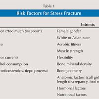 Stress Fracture最新專輯_新專輯大全_專輯列表