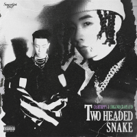 Two Head Snake 雙頭蛇