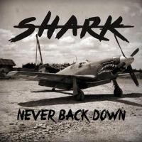 Never Back Down歌曲歌詞大全_Never Back Down最新歌曲歌詞