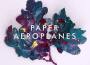 Paper Aeroplanes歌曲歌詞大全_Paper Aeroplanes最新歌曲歌詞