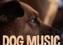 Dog Music Dreams