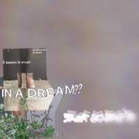 IN A DREAM??