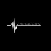 You said Sorry