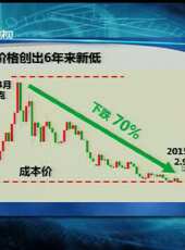 股舞飛陽最新一期線上看_全集完整版高清線上看 - 蟲蟲綜藝