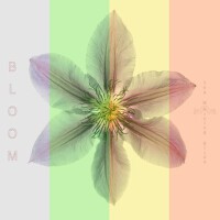 Bloom專輯_The Morning BirdsBloom最新專輯