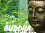 Buddha Nature: 25 Relaxing Tracks for Meditation & Yoga專輯_Buddha NecklaceBuddha Nature: 25 Relaxing Tracks for Meditation & Yoga最新專輯