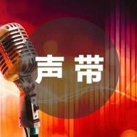 自然聲帶歌曲歌詞大全_自然聲帶最新歌曲歌詞