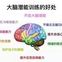 大腦開發個人資料介紹_個人檔案(生日/星座/歌曲/專輯/MV作品)